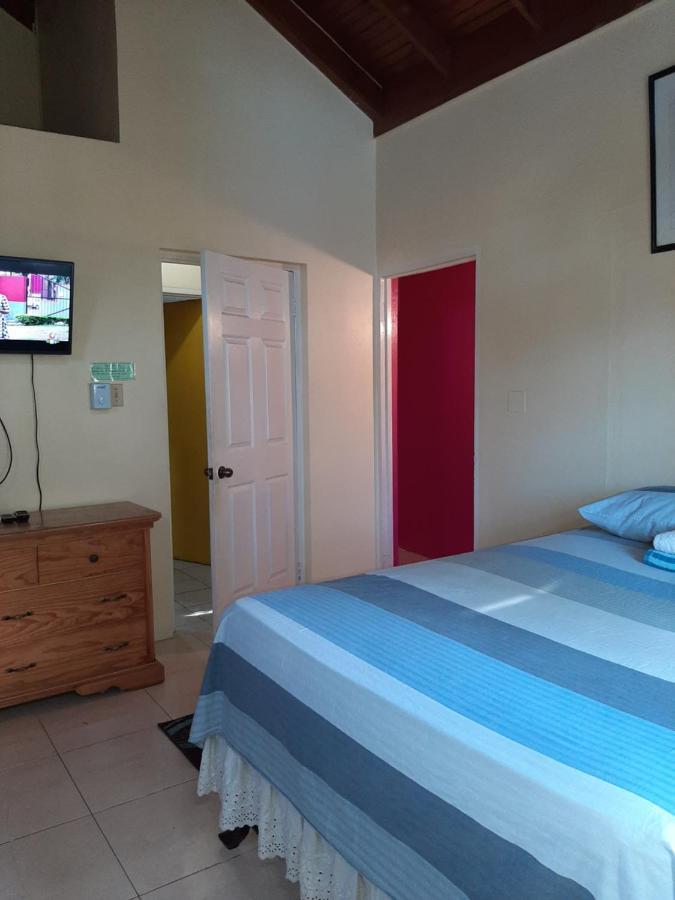 Dancehall Hostel Kingston Bagian luar foto